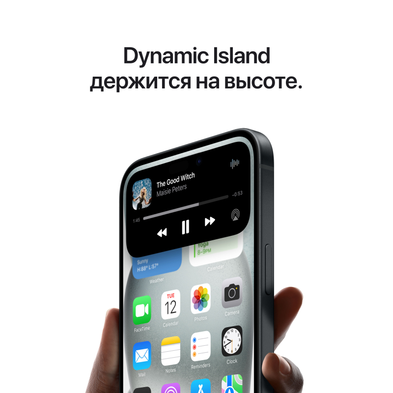 Apple iPhone 15 Plus, 512 ГБ, Чёрный