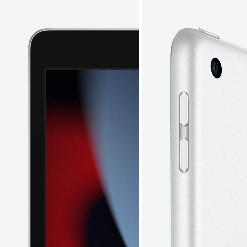 Apple iPad 10,2 (2021) Wi-Fi + Cellular 256 ГБ, Серебристый